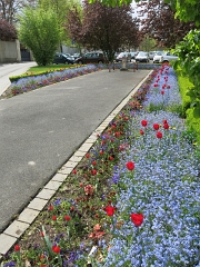 ARRAS (17)